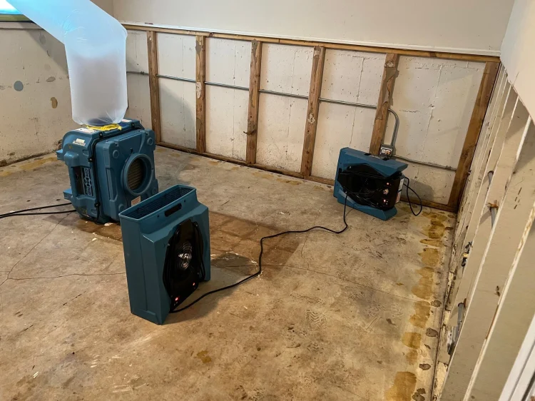 09e4a51d9825509920220812-158-v4wj0