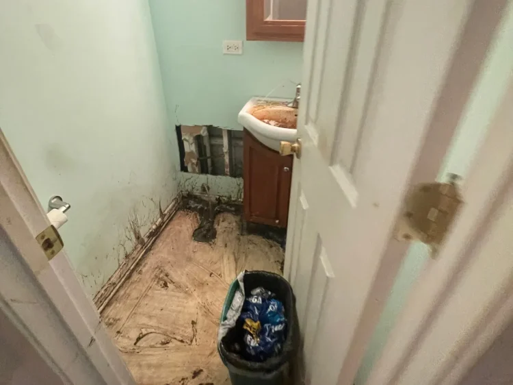 29e182ddefefdfe820220812-213-1xle77h