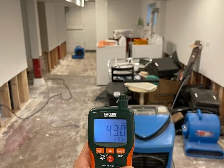 321fcf89-32da-44e4-b054-076c28faaf75