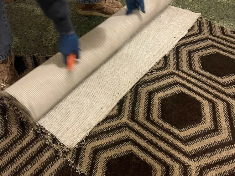 7a1468ba1ddcc72c20220812-161-p26vun