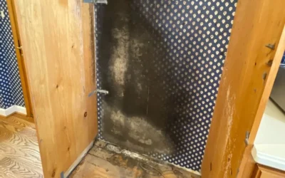 Black mold removal