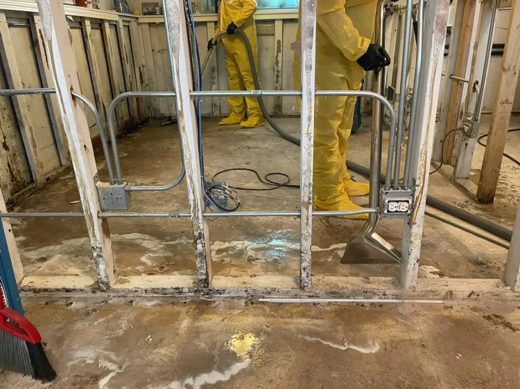 WhatsApp+Image+2022-06-02+at+2.12.47+PM