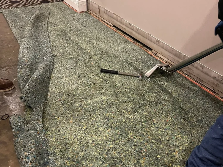 cc0c56e21f526ed420220812-163-1iwf21x