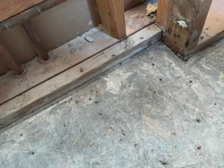 d80c9e869fbea15b20230214-281-u4kzy1