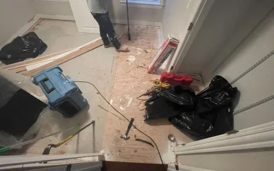 water damage repair